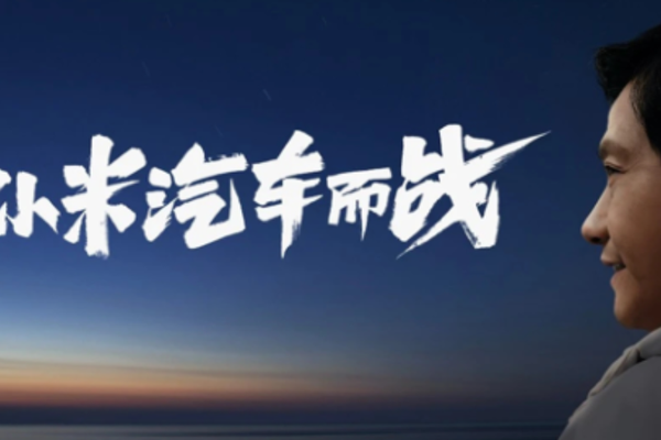 押上声誉百亿豪赌，雷军几分胜算？