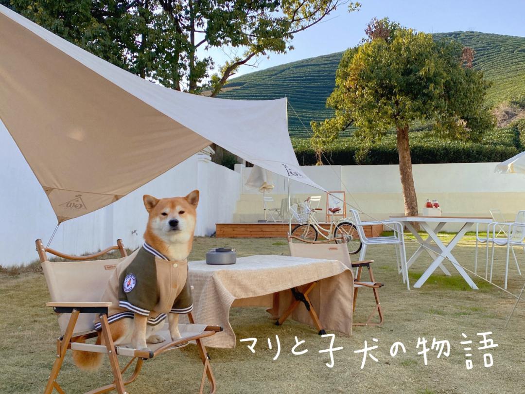 qieav 노박덩굴 : 네이버 블로그