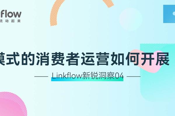 Dtc模式的消费者运营如何开展 下 Linkflow 详细解读 最新资讯 热点事件 36氪