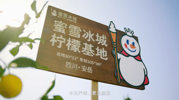 蜜雪冰城、喜茶纷纷投资新品牌：会赚钱的新茶饮，主动“花钱”了