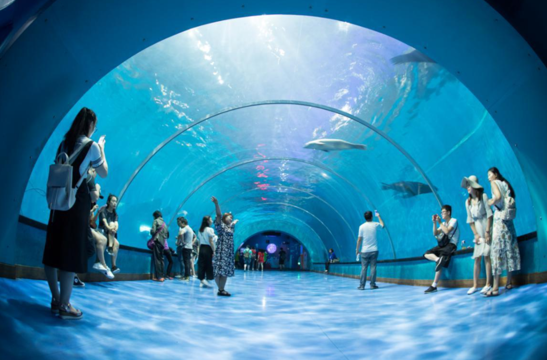 海昌海洋公园卖身之后-36氪