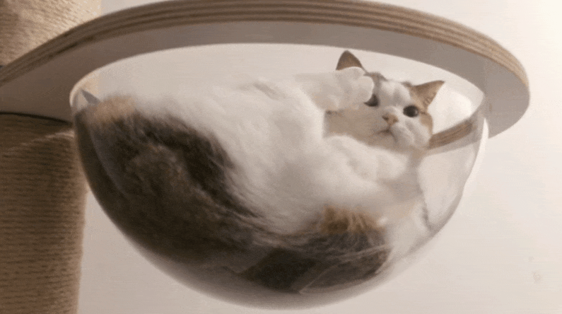 每天都在用的表情包竟然是个up主