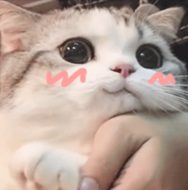 每天都在用的表情包竟然是个up主