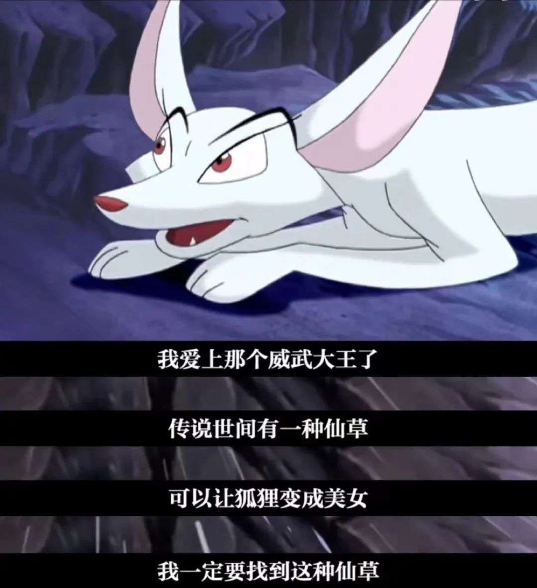 除了川沙妲己狐狸精可能都是北方人