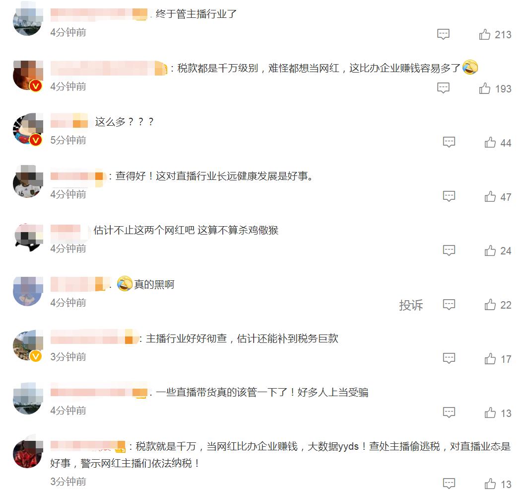 网红雪梨偷逃税被罚6555万元，网友：下一个是谁？-36氪