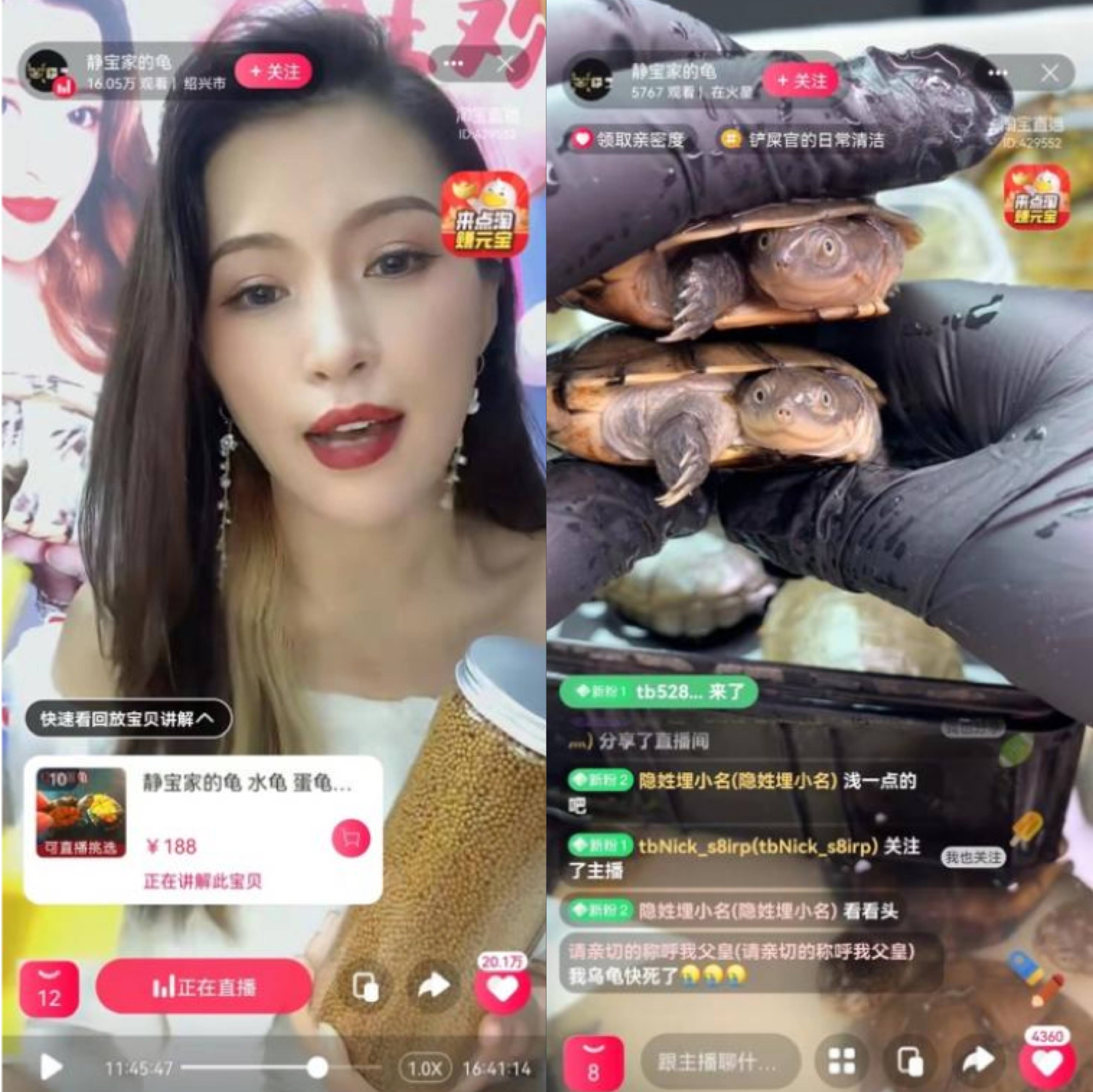 电商直播的发展史是一部中小主播的奋斗史