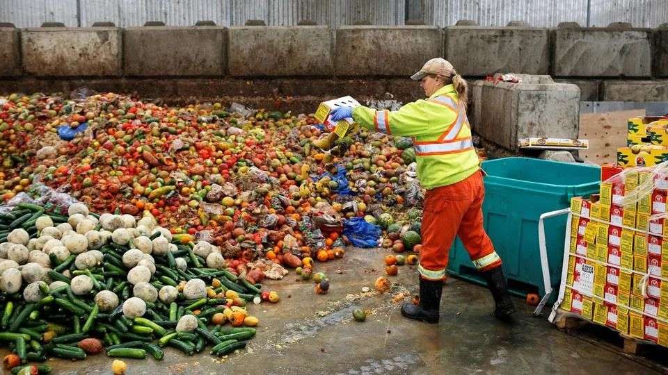 500萬人都在吃鄰居剩的減少食物浪費的終極大招是這