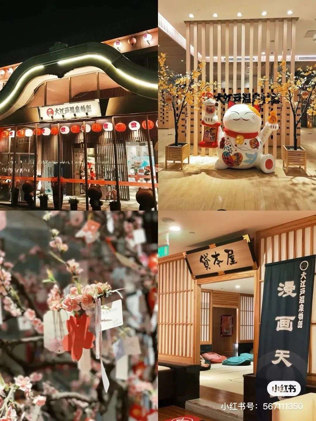 是什么让这些东北青年拒绝北漂？(图13)