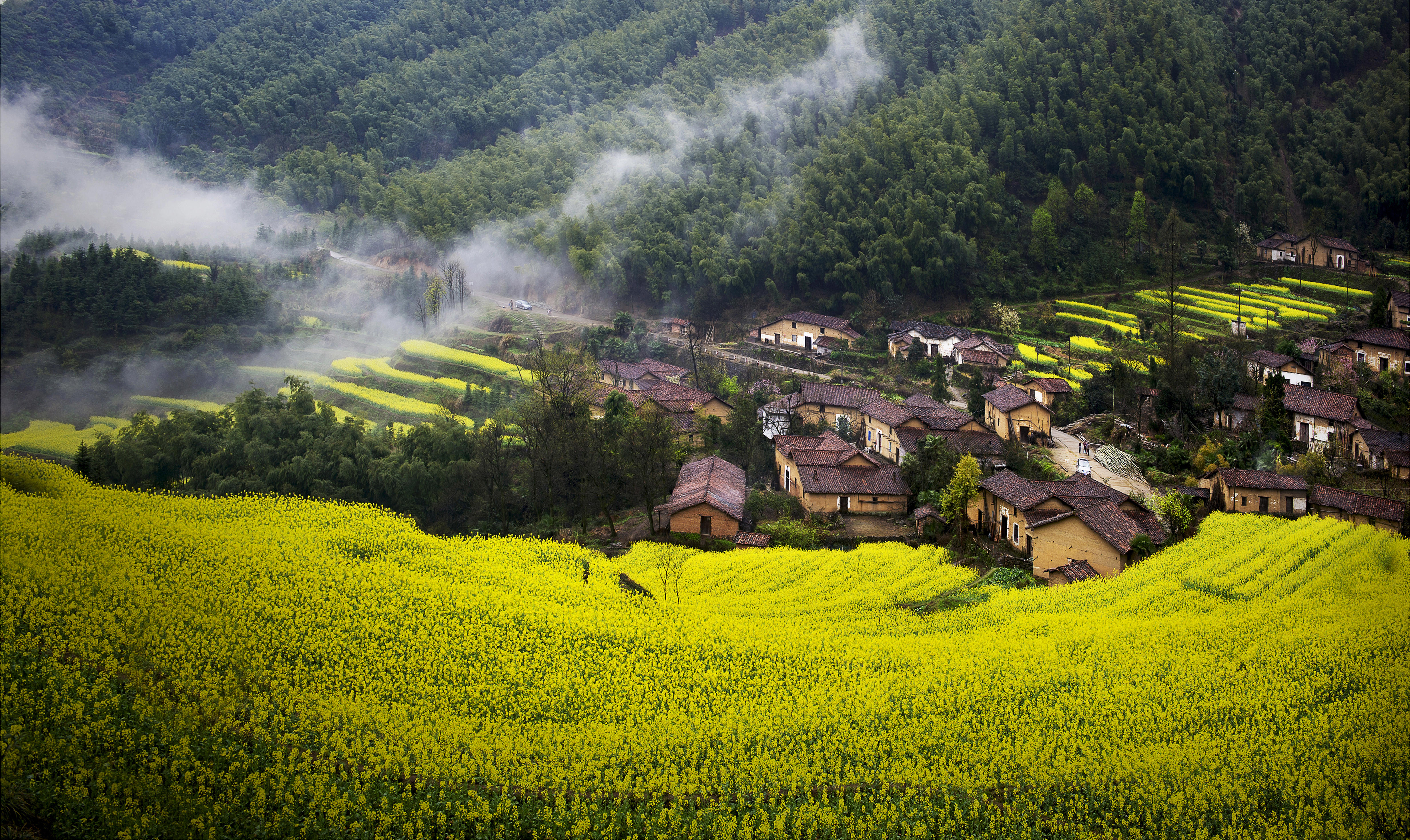 现代农村景象图片