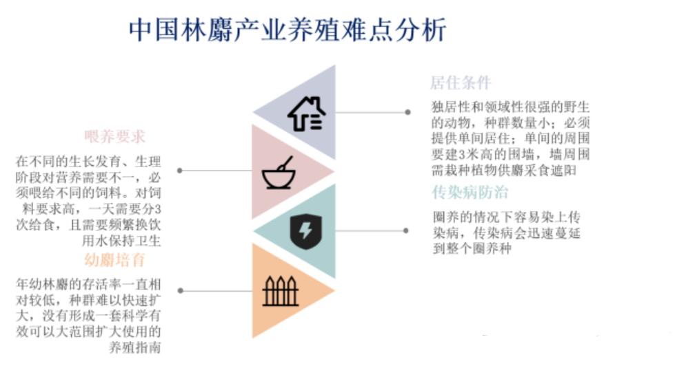 10万变1000万！投资片仔癀有多飘？(图12)