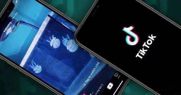 Spotify学习TikTok，在线音乐平台为何“不务正业”？(图10)