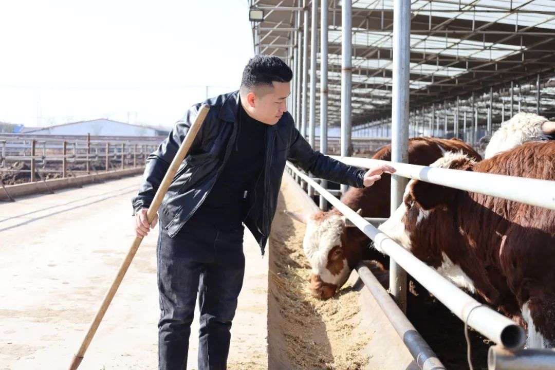 那些回农村卖水果的年轻人_详细解读_最新资讯_热点事件
