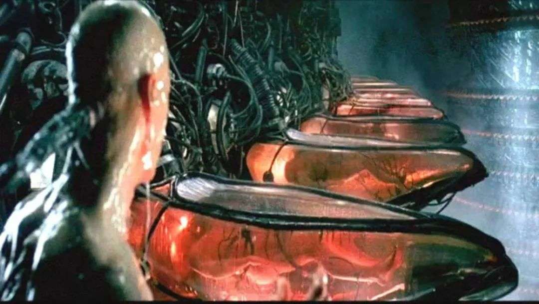 电影《黑客帝国》中呈现的「缸中之脑」.