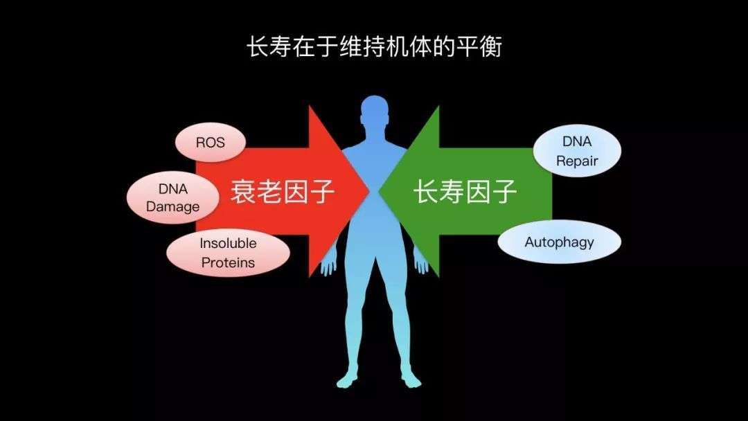 中國最長壽老人去世,科學家為延長人類壽命都做了哪些事?-36氪