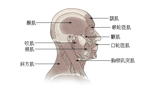 想要靠牙套变美，我劝你先看看新垣结衣(图5)