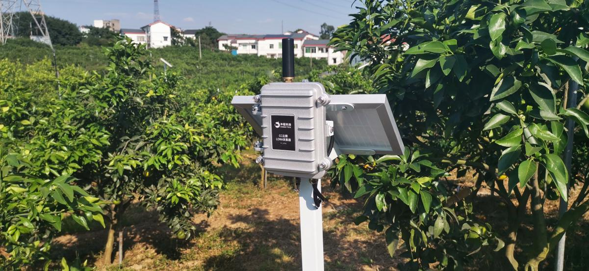 冲程科技把智慧果园做得像智慧家居一样简单