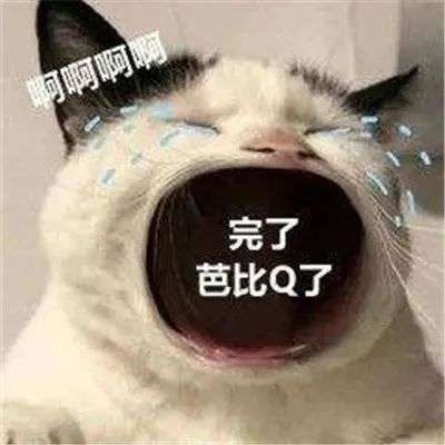 2021年哪些网络梗刻进了你的dna