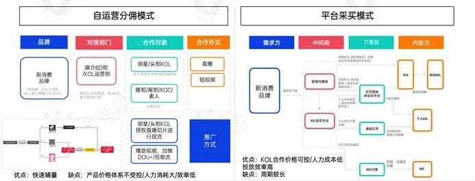 新消费品牌KOL营销的六大成功定律|微播易研究报告