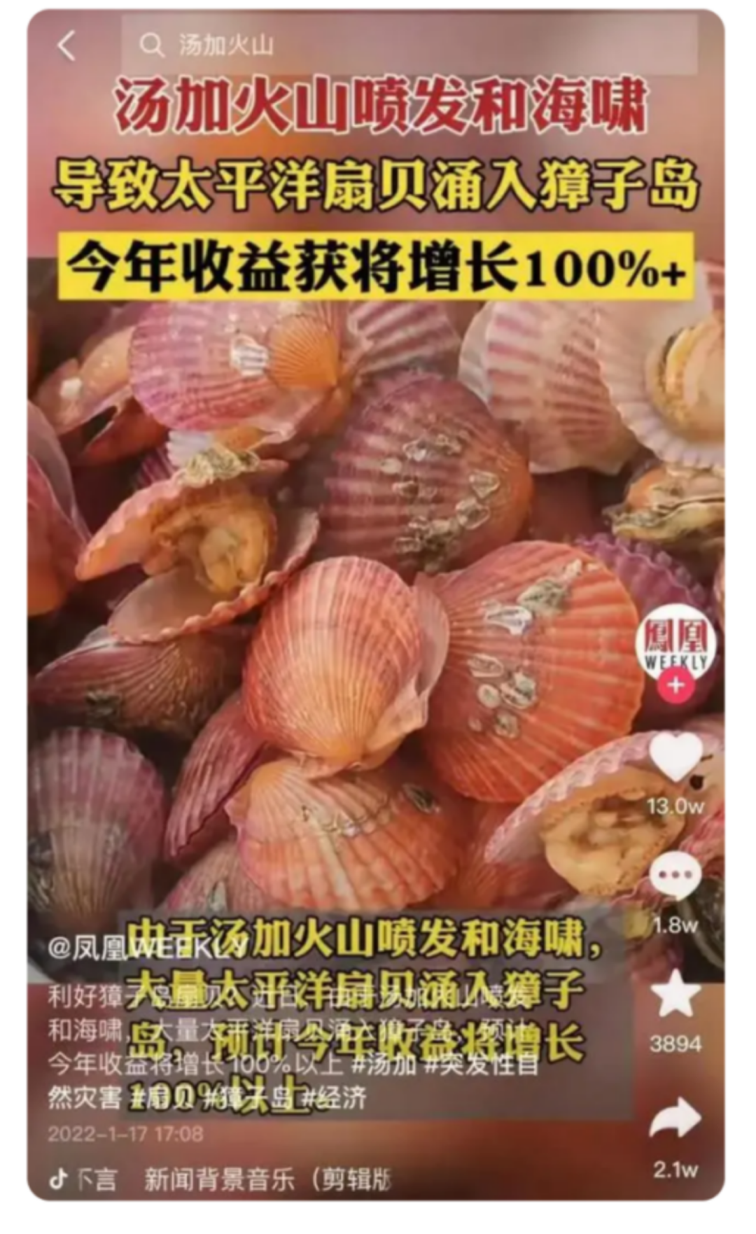 扇贝游回獐子岛了 36氪