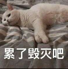 为啥年轻人一边高喊着我是废物一边又躺不平