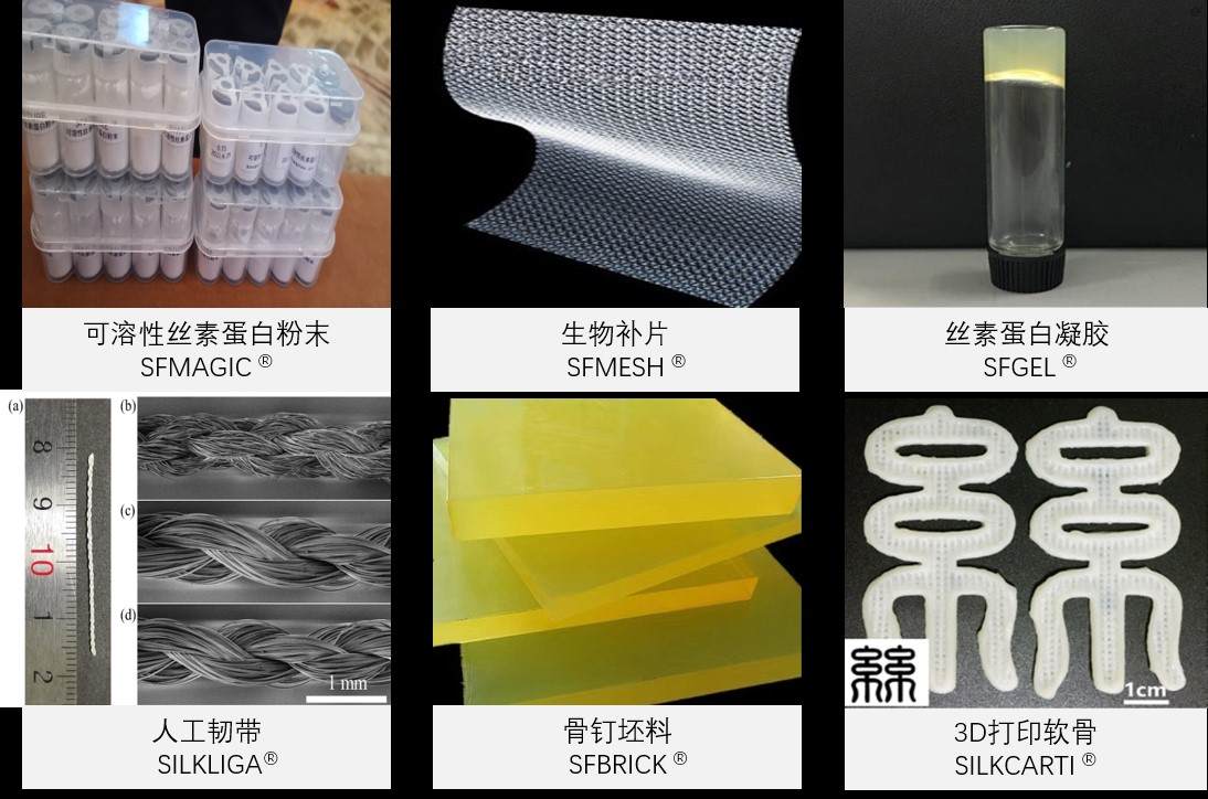 以蚕丝为原料、研发丝素蛋白新材料，「复向医疗」聚焦生物医学组织工程修复