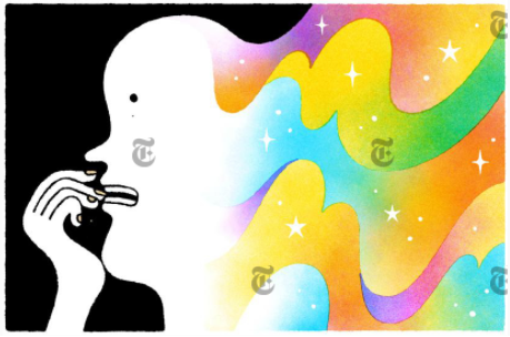 (Lan Truong/The New York Times)