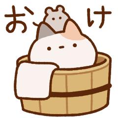 明星表情包app_明星表情包_表情包的明星的名字