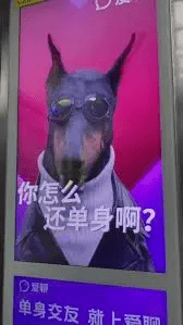 冒犯人的广告，什么时候能停下来？(图5)