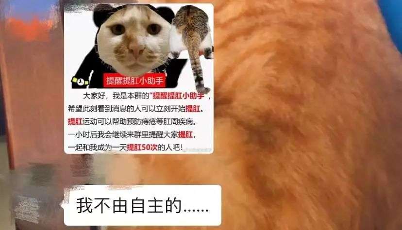 全网上瘾的“线上团建”，场面尴尬到窒息(图8)