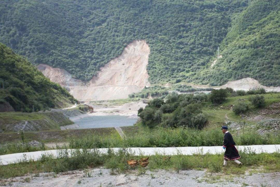 作为生物多样性研究者为啥我去的地方经常山体滑坡原来这不是巧合