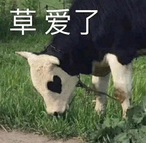 系统云翻新,钉子户狂喜