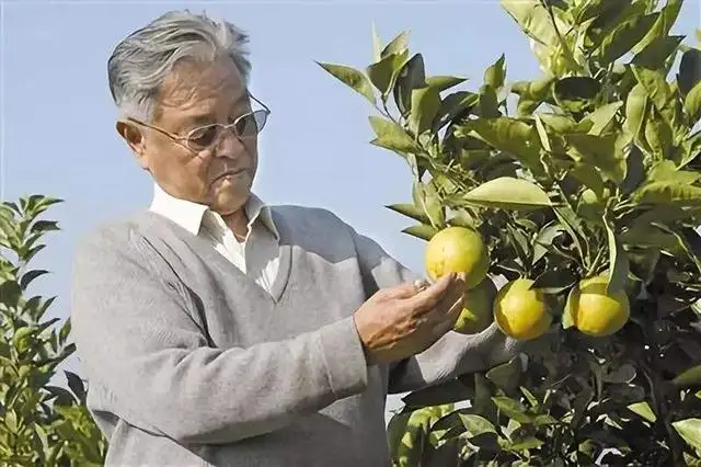 03 褚橙:用创始人故事吸引用户