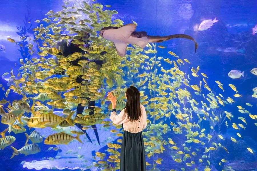 青岛海底世界“巡洋舰队”五一启航