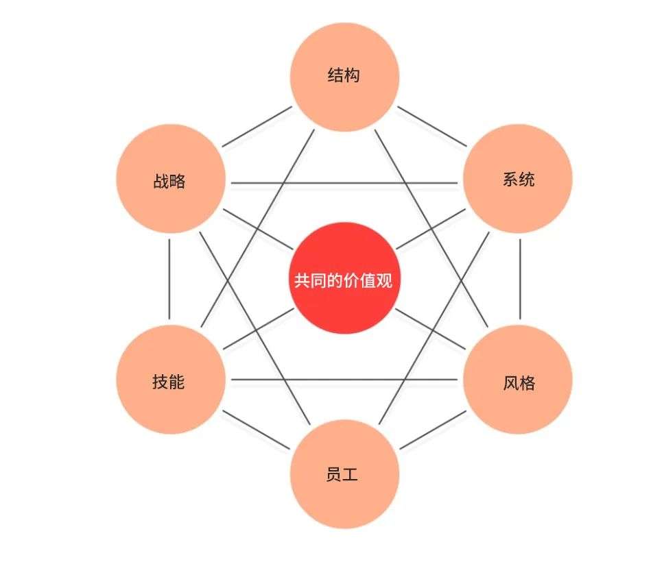 麦肯锡5Cs模型图片