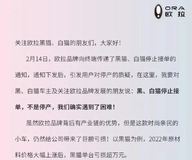 复盘长城欧拉：高开低走背后的战术与战略问题(图1)