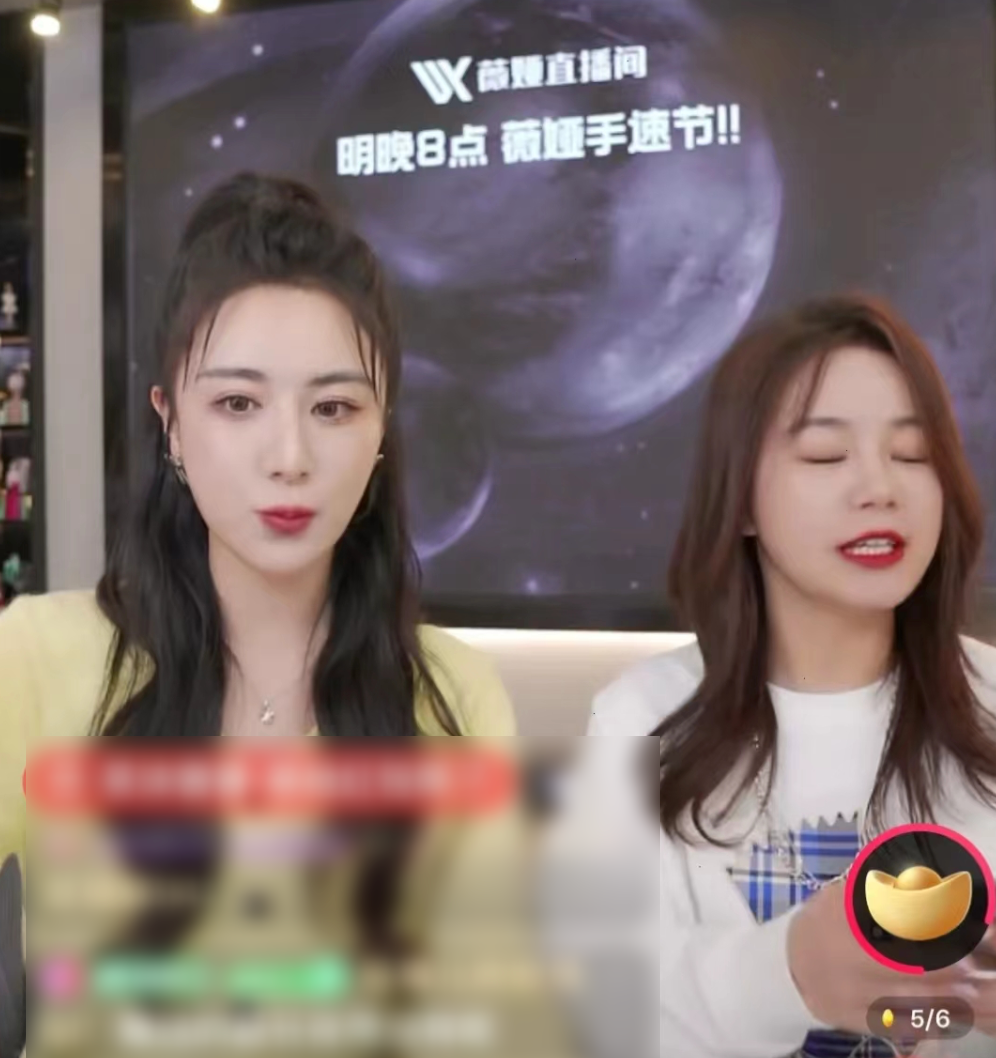 关注过薇娅的用户一定知道,琦儿和薇娅,就像曾经的李佳琦和小助理付鹏