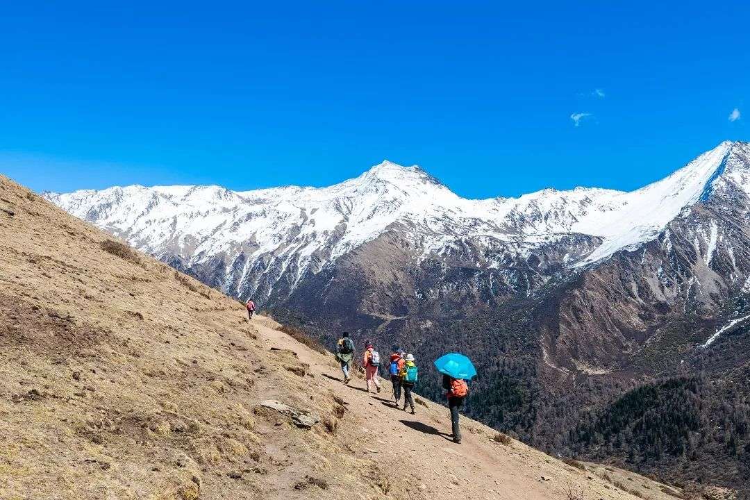 还没躺平的文旅人，给你几个成功案例参考一下(图8)