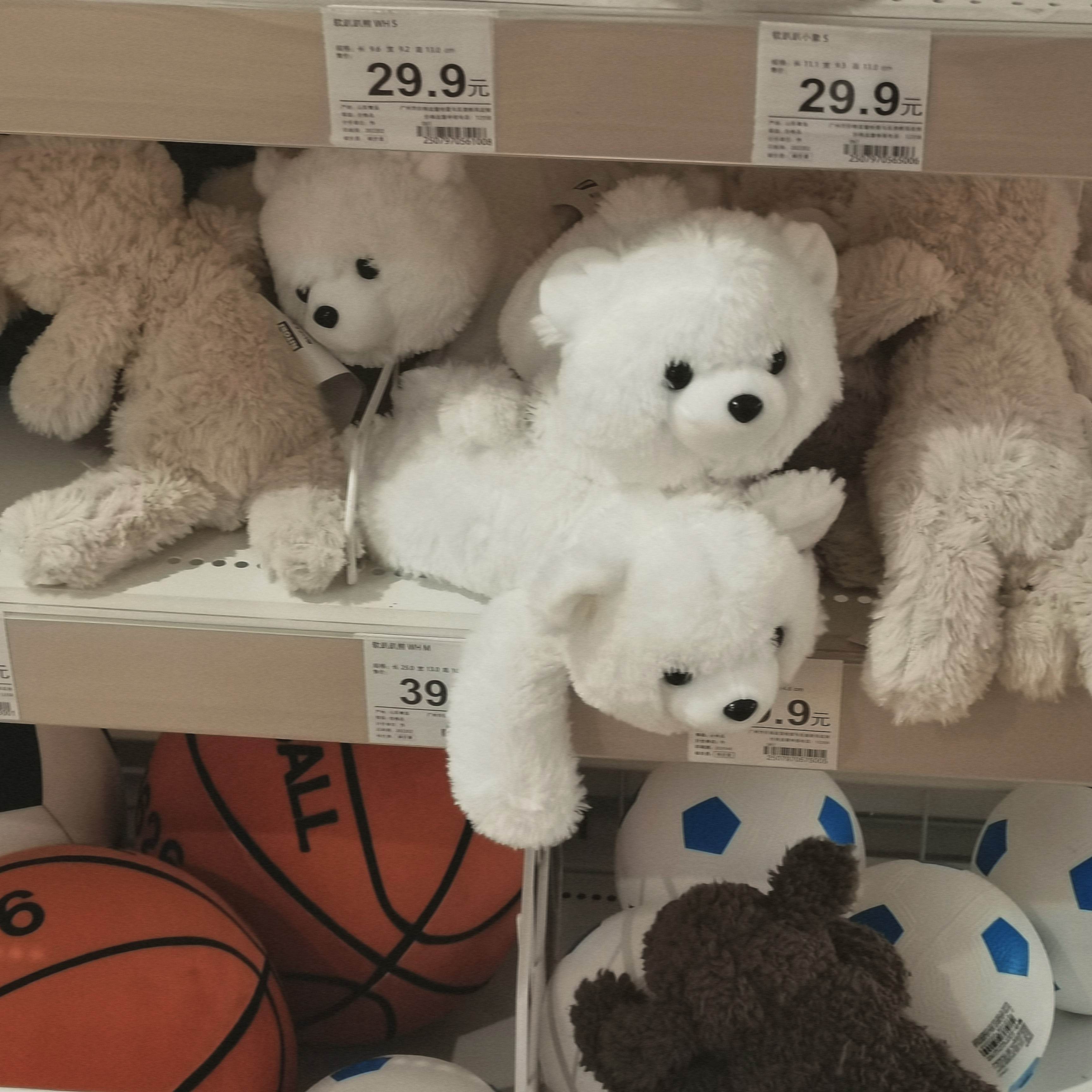 辛有志 失去 辛巴 我还有什么 36氪