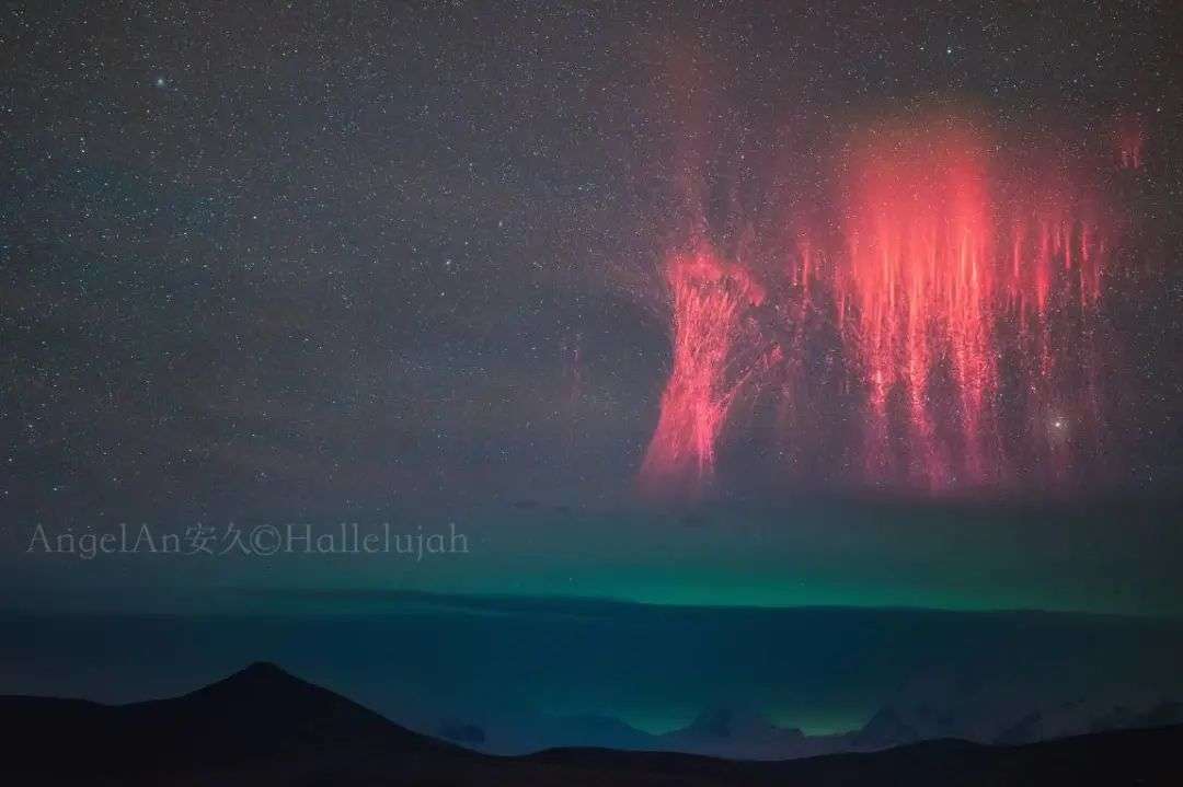 亲热的夜晚与梦境中的丰收，解读捞鱼梦境的深层含义