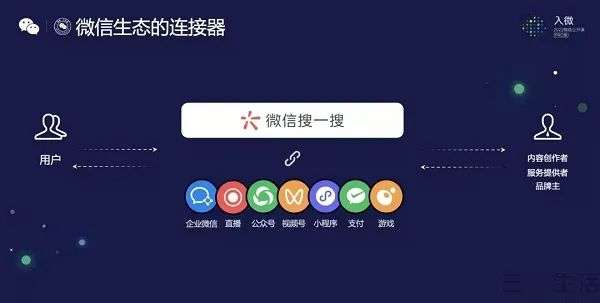 字节跳动的识典百科，或与搜索及内容质量有关(图4)