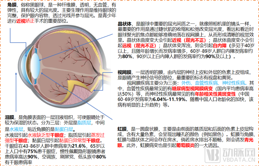 《2022眼科行业研究报告》：掘金眼科赛道，2022年我们最应该关注的创新趋势是什么？(图1)