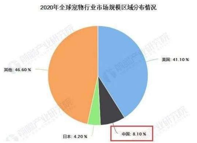 寻宠行业调查：低门槛高要求，找猫找狗近10年，结果发现还是人最难找_手机新浪网