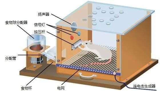 起底中国人嗑瓜子百年历史(图26)