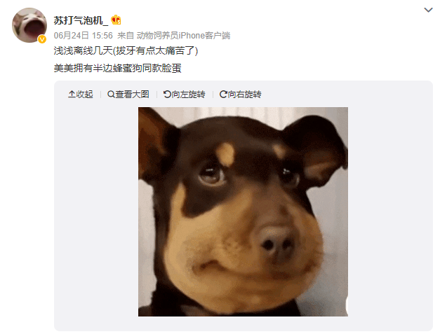 第一届全国幼稚大赛朋友圈的90后赢了