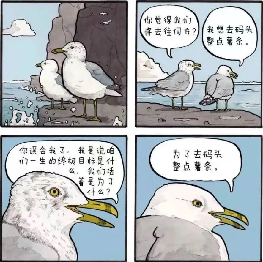 最近几年,人们常用的哲学(误)表情包,大概就是那个著名的海鸥四宫格:"