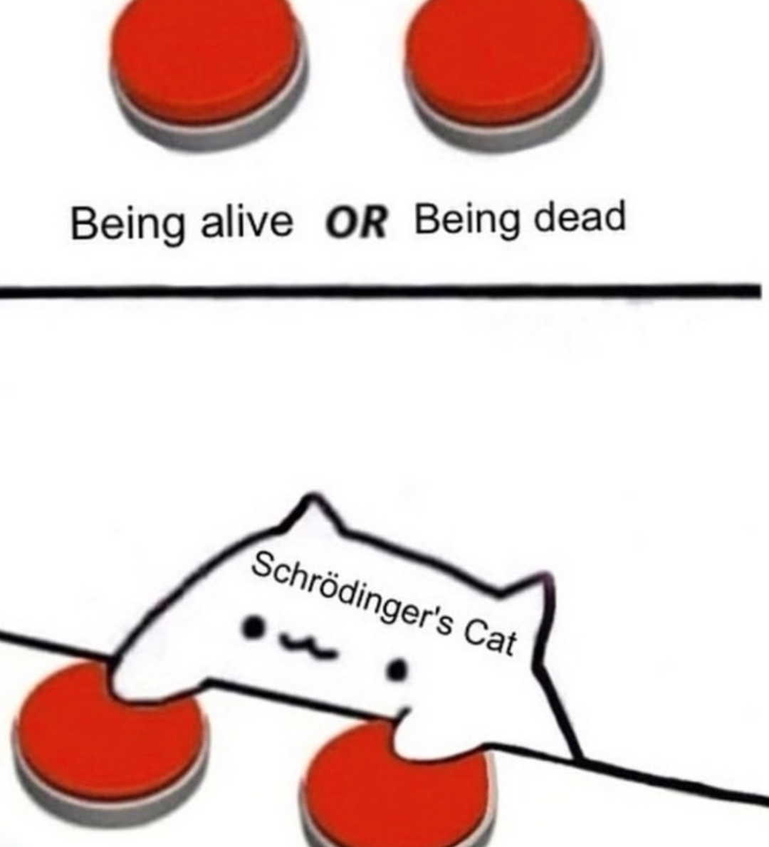 当代人对哲学的思考都是从meme里来的