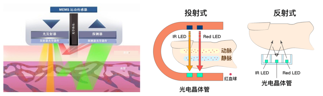 智能手表、手环的「心率检测」准确吗？它能帮你了解哪些数据？(图2)