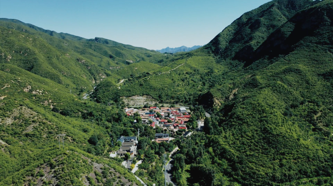 02 从低处"长上去"的山景房