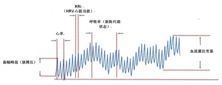 智能手表、手环的「心率检测」准确吗？它能帮你了解哪些数据？(图3)