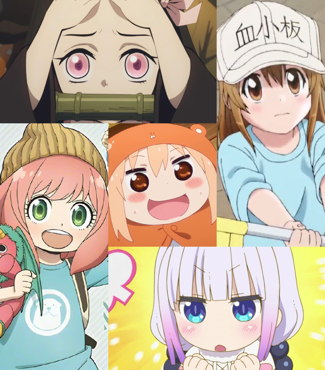 今年的"网红"动漫,花落《间谍过家家》-36氪